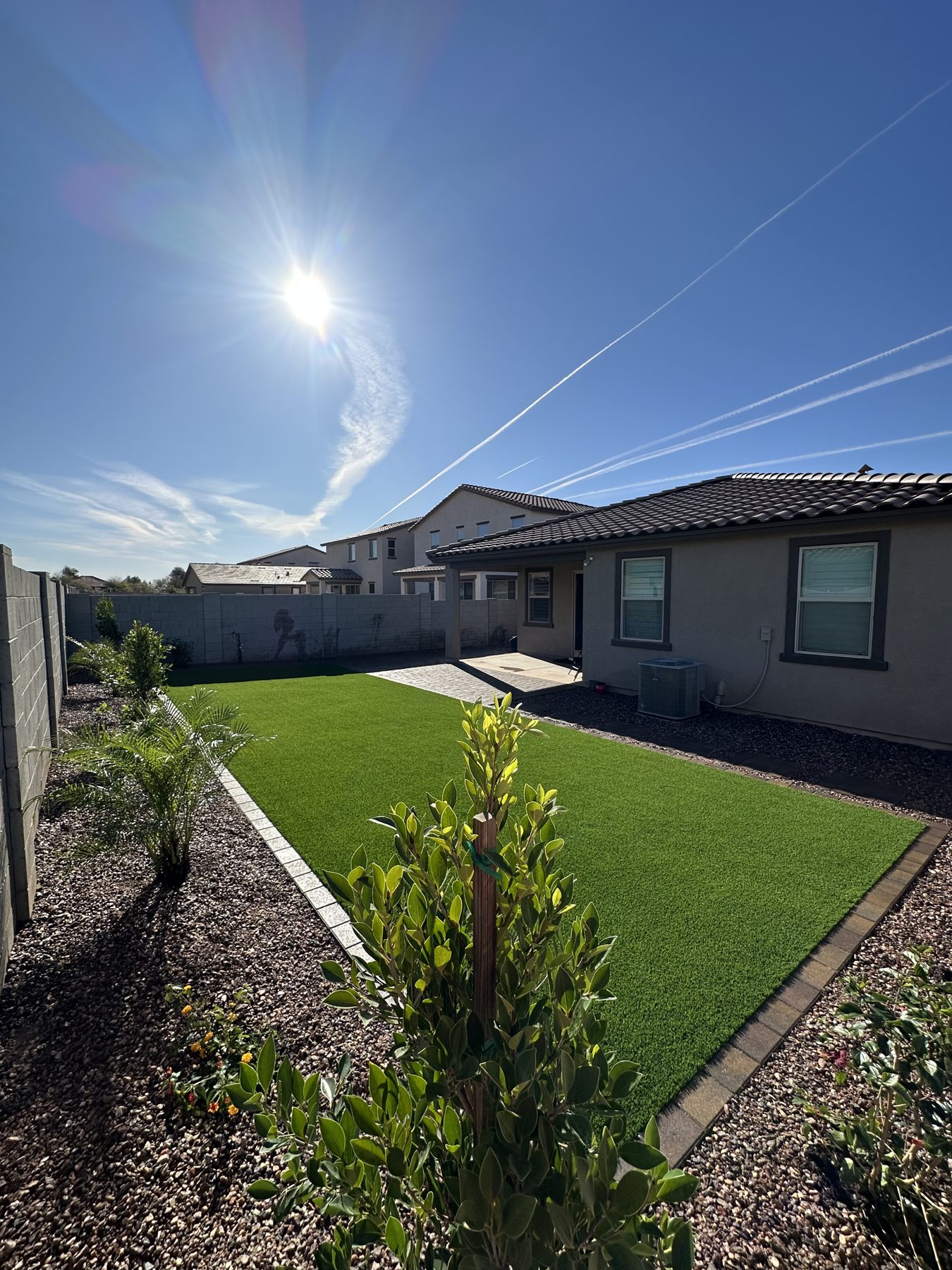 Turf lawn edged with gravel and new shrubs